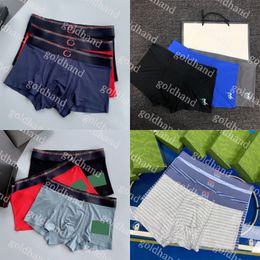 2024 Designer Mens Underwear Summer Ice Silk Underpant Brand Letter Printed Boxers Briefs