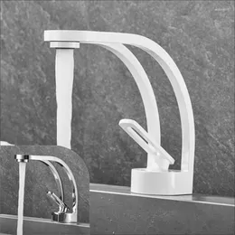 Kitchen Faucets Faucet Countertop Basin Hand Wash Bathroom And Cold Heating Elevated Hose Gray White Electroplating