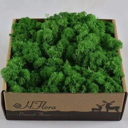 MOSS 1000G FÖR HEM EVENTAL LIVE GARDEN DECED CEORT VÄGVALFLUMER MATERIAL NATURE REINDEER MICRO LANDSCAPE ACCCHITORS 240127