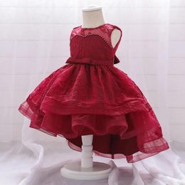 Girl Dresses Infant Born Baby Girls Lace Embroidery Tail Toddler Birthday Party Princess Dress Cute Tutu For 0-24 Months