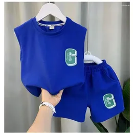Clothing Sets 2024 Boys Vest Baby Fashion Casual Suit Summer Children Sleeveless Round Neck Top And Pants Two Piece 2-10 Years Old