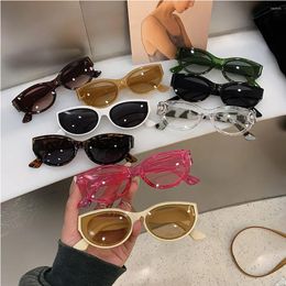 Sunglasses Oval Cat Eye Personalized Vintage Fashion Trendy Female Shades Brand Designer Eyewear For Ladies Lentes