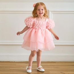 Girl Dresses Cute Girls Pink Party Ball Gown Summer Puffy Carnival Pageant Dress Baby Kids Soft Wedding Bridesmaid Clothes Evening Prom