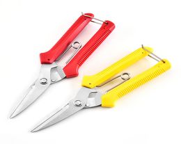 Pruning pliers Home Garden Scissors Sharply Multi Colors Branch Scissor Red Yellow Prevent Slip Handle Pruning Shears Selling 6846026