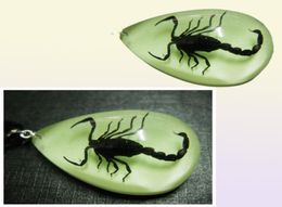 yqtdmy 12 pcs Insect Fashion scorpion pendant style luminous small adorn article59417531991339