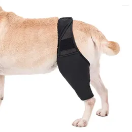 Dog Apparel Knee Brace Flexible Hip For Dogs Joint Provides Support And Comfort Without Compromising The Dog's