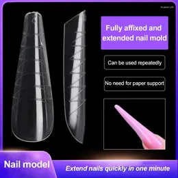 Nail Art Kits False Plastic Easy To Use Perfect Decoration Long Lasting Scale Design Beauty And Health Extend The Membrane