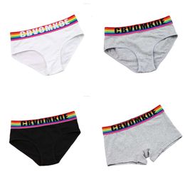 Mutandine slip boxer di cotone arcobaleno per le mutande LGBT Trans Lesbian Trans LGBT da donna Lingerie Lingerie