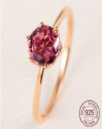 Princess Ruby Gemstone Rings for Women 925 Sterling Silver Wedding Engagement Jewellery Charming Rose Gold Colour Ring J2545042160