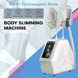 Promotion weight loss increase ems muscle lifting skin tightening beauty machine