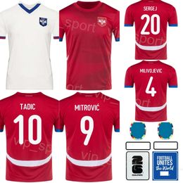 2024 Euro Cup Serbia Soccer 20 Sergej Milinkovic-Savic Jerseys 13 Erhan Masovic 22 Sasa Lukic 8 Luka Jovic 9 Aleksandar Mitrovic Football Shirt Kits National Team