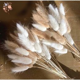 60Pcs Mix Rabbit Tail Grass Natural Lagurus Ovatus Pampas Dried Flower Bouquet Floral Wedding Decoration Home Po Props Decor 240417