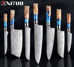 XITUO Kitchen KnivesSet Damascus Steel VG10 Chef Knife Cleaver Paring Bread Knife Blue Resin and Colour Wood Handle Cooking Tool8148257