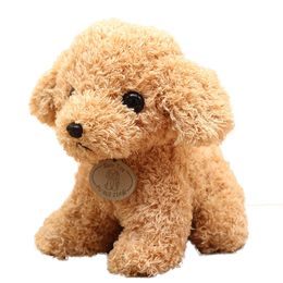 Cute Simulation Puppy Curly Teddy Dog Pet Anime Dolls Soft Stuffed Plush Toys for Children Kids Decor Collection Brinquedos