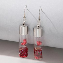 Dangle Earrings Trendy Dry Daisy Flowers Glass Drop For Women Charms Handmade Plant Bottle Party Jewellery 16893