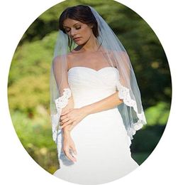 Selling Cheapest In Stock Long Elbow Length Bridal Veil Appliques Veu De Noiva Longo Wedding Veil Lace Purfle No Comb Cheap2650892