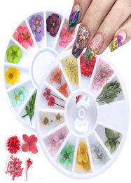 12 Types 3D Dried Flowers Nail Art Decoration DIY Beauty Petal Floral Decal Sticker Dry Flower Gel Polish Accessories1192076
