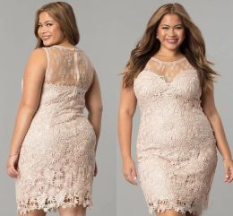 2024 Plus Size Lace Evening Dresses Sleeveless Scoop Neck Short Above Knee Length Cocktail Party Gown Custom Made