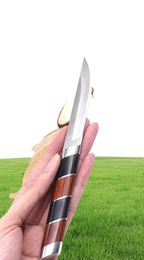 Small Fixed Blade Hunting Straight Knife Camping Tactical Survival Knife Outdoor Pocket knives EDC Tools 3CR13 Steel Wood Handle3272823