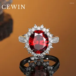 Cluster Rings Selling S925 Sterling Silver Imitation Diamond Ruby Ring Female Personality Light Luxury Temperament Engagement Jewellery Gift