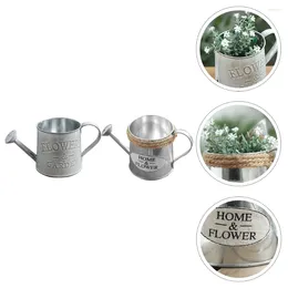 Vases 2 Pcs Indoor Plant Stand Tin Watering Can Kettle Pot Garden Flowerpot Tool Home