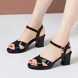 Dress Shoes Women's Comfortable Block Heeled Sandals - Casual Open Toe Strap Summer