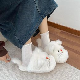 Slippers Cute Animal Indoor Special Custom A Warm Winter Lovers Home Thick Hard Bottom Shoes On Floor