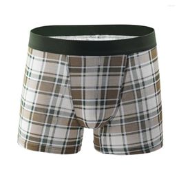 Underpants Sexy Underwear Men Boxer Shorts Soft Cotton Plaid Printed Men's Panties 2024 Brand Sports Lingerie #Zer