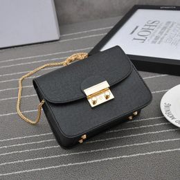 Shoulder Bags The Spring And Summer Of 2024 Sweet Take Small Square Contracted Fashion Leisure Cross Chain Female Bag