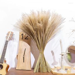 Decorative Flowers 50pcs Natural Dried Pampas Grass Reed Artificial Plants Ears Tail Shop Garden Wedding Decor Home Bunch Flower