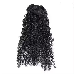 3C4A Burmese Curly Hair Bundles Human Hair Burmese Vietnamese Raw Human Hair Extensions For Women Wholesale 100g free shipping