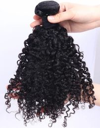 Burmese Curly Raw Human Hair Bundles 3C 4A Hair Bundles Sassy Curl Human Virgin Hair Weaving For Women Natural Black Color 100g/bundles free shiping