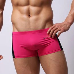 Underpants Men's Sexy Underwear Colour Block Aro Pants Simple Fashionable Swimming Spring Vacation Bottom Lingerie For Young People Swimsuit