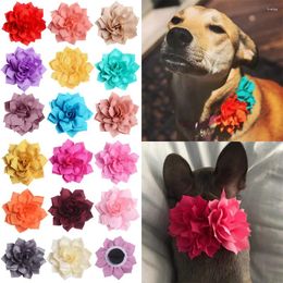 Dog Apparel 50/100pcs Cat Bowties Collar Slidable Flower-Collar Accessories Bow Ties Pet Products