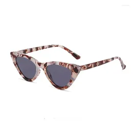 Sunglasses 2024 Trend Retro Triangular Cat's Eye 90s Gradient Lens Small Frame UV400 Male Female