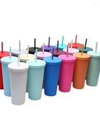Other Bird Supplies Straight Double-layer Plastic Cup On The Internet Minimalist 24OZ Large Capacity Water Frosted And Easy To Use