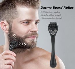 540 Micro Needle Roller Derma Roller Titanium Hair Regrowth Beard Growth Anti Hair Loss Treatment Thinning Receding1875358