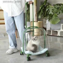 Cat Carriers Crates Houses PC Material Cat Clear Space Capsule Do Out Pet Trolley Case Portable Backpack Lare Capacity Cat Pull Rod Small Animal Ba L49