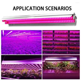 Grow Lights Plant Light LED Full Spectrum Growing Flowers Lamp For Indoor Plants Greenhouse Vegetable Hydroponic Uv