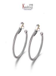 Earring Dy Twisted Thread Earrings Women Fashion Versatile White Gold and Sier Plated Needle Twist Popular Accessories Hot Selling2237395