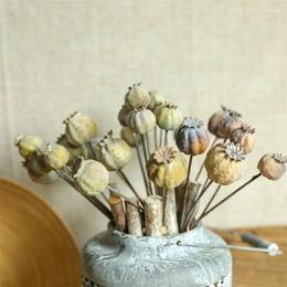 Decorative Flowers Artificial Flower Trend High Quality Energetic Eye-catching Fashionable Exclusive Multifunctional Firework Dried Fruit