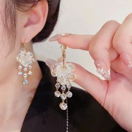 Dangle Earrings Korean Fashion Jewelry Exaggerated Flower Rhinestone Tassel For Women Oorbellen Pendientes Wholesale