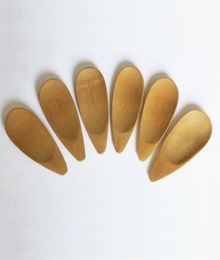 Natural Bamboo Spoon Tea Scoops Mini Short Handle Ice Cream Spoons Eco Friendly Tea Tools1934899