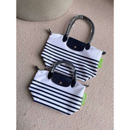 New Striped Dumpling Bag Waterproof Nylon Cloth with Cowhide One Shoulder Handbag Longjia Cross