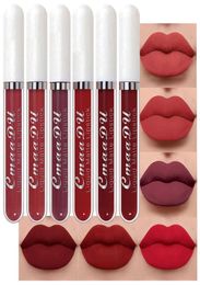 6piece matte liquid lipstick set lip gloss CmaaDu 24 hours long lasting waterproof dark red8131014
