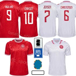 Adult Denmark 8 DELANEY Soccer Jersey 2024 Euro Cup 1 SCHMEICHEL 12 DOLBERG 2 ANDERSEN 7 JENSEN SKOV OLSEN KRISTENSEN CHRISTENSEN National Team Football Shirt Kits