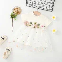 Girl Dresses Baby Dress Cute Mesh Embroidered Short Sleeve Children's Princess Party Suitable For 0-2 Year Old Babies