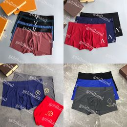 2024 Designer Mens Boxers Summer Ice Silk Breathable Underpants Casual Comfortable Men Underwear