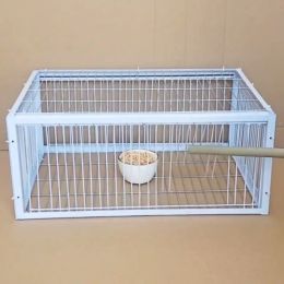 Cages Bird Cages Mid Foldable Galvanised Trap Cage Feral humane way with the oneway entrance Trapping s In 230715