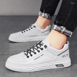 Casual Shoes White Colour For Men In 2024 All-match Trend Korean Fashion Sneakers Men's Lace-up Platform 44